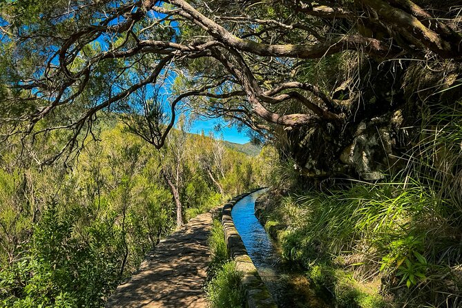 25 Fountains Levada: Hiking Tour in Madeira Rabaçal Valley (PR6) - Reaching the 25 Fountains
