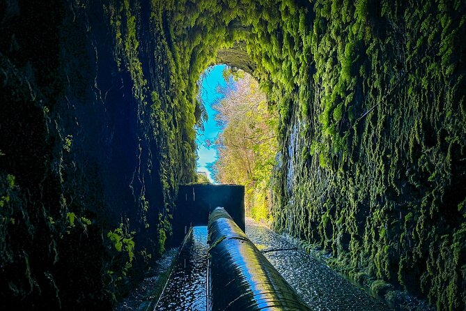 25 Fountains Levada: Hiking Tour in Madeira Rabaçal Valley (PR6) - Fitness, weather, and what to pack