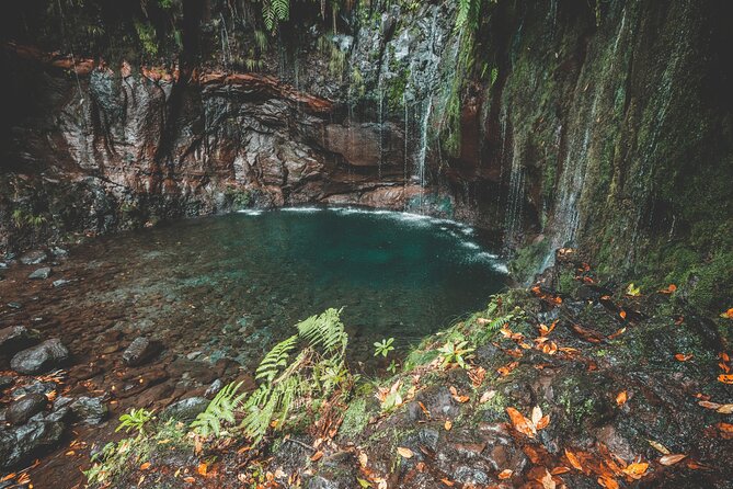 25 Fountains Levada: Hiking Tour in Madeira Rabaçal Valley (PR6) - Is $52.87 good value?