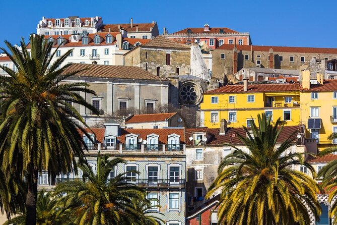 3-Hour Guided Street Art Walking Tour of Lisbon - Key things to know before you book