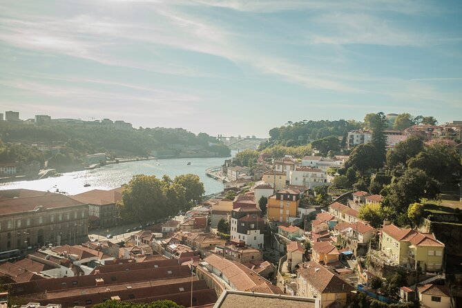 3-hour private guided walking tour of the BEST of Porto - Avenida dos Aliados gives the walk a clear finish