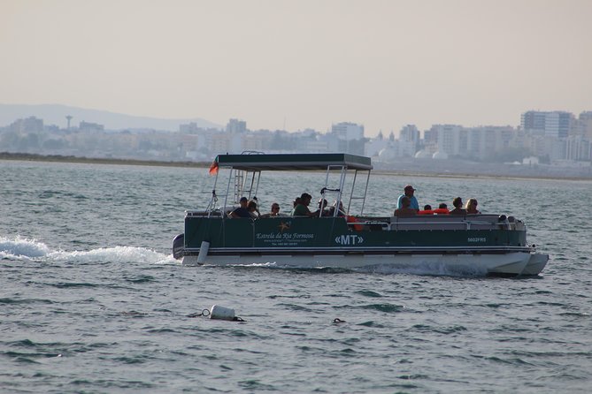 4 Stops | 3 Islands & Ria Formosa Natural Park - From Faro - Leaving Faro through the Ria Formosa
