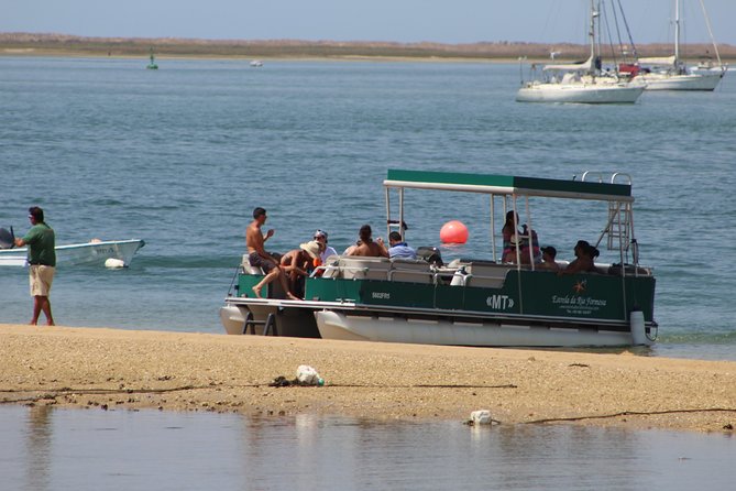 4 Stops | 3 Islands & Ria Formosa Natural Park - From Faro - Birds, tides, and the changing route