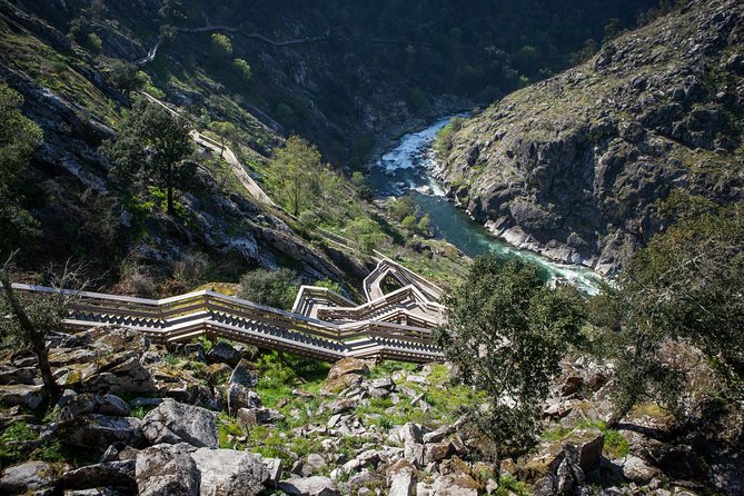 516 Arouca Bridge, Paiva Walkways and Aveiro Tour - Arouca sweets provide a gentle start