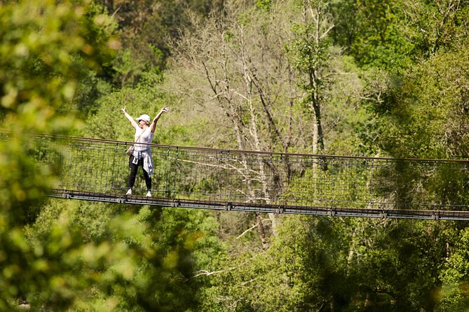 516 Arouca Bridge & Paiva Walkways Tour with Lunch from Porto - Who Will Get the Most from This Tour