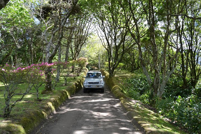 8-Hour Private Tour in 4x4 Vehicle from Ponta Delgada - Key points to know before booking