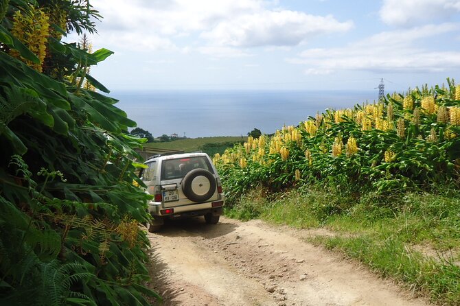 8-Hour Private Tour in 4x4 Vehicle from Ponta Delgada - Guides who turn scenery into a story