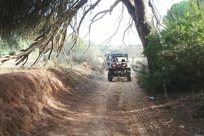 Albufeira 1.5 hour Off-Road Tour Buggy Adventure Tour - Paderne Castle adds a welcome pause