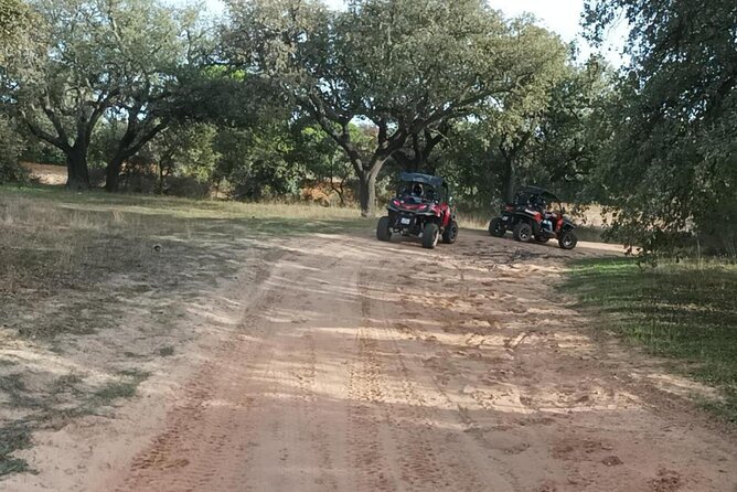 Albufeira 1.5 hour Off-Road Tour Buggy Adventure Tour - Clothing, dust, and practical comfort