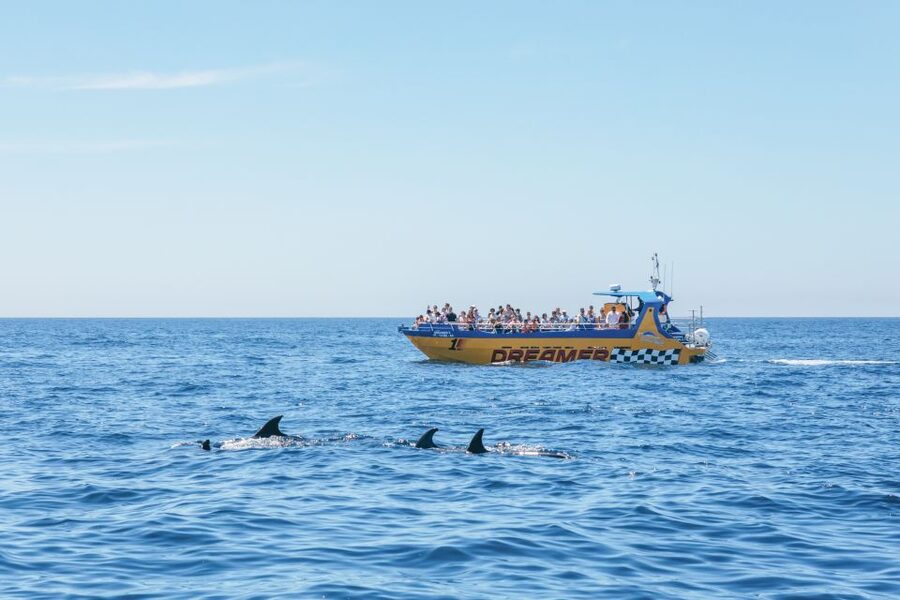 Albufeira: 2.5-Hour Benagil Caves & Dolphin Watching - Swimming off the boat, when the sea allows