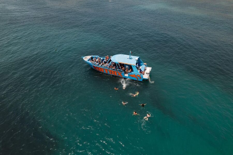Albufeira: 2.5-Hour Dolphin Watching and Caves Trip - Searching for dolphins in the open Atlantic