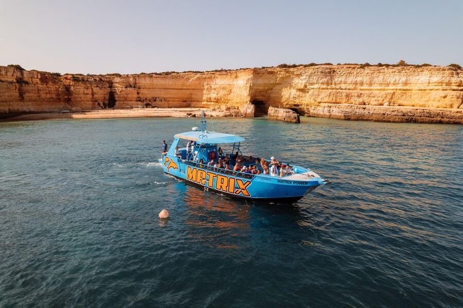 Albufeira: 2.5-Hour Dolphin Watching and Caves Trip - Comfort, weather, and what to bring