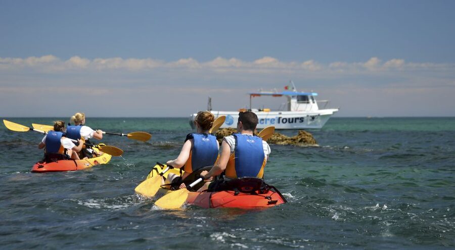 Albufeira: Algarve Kayak and Coastline Tour - Paddling the Albufeira Caves and Bays