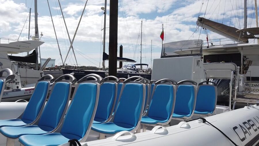 Albufeira: Benagil Cave and Dolphin Sightseeing Boat Cruise - What the ride feels like