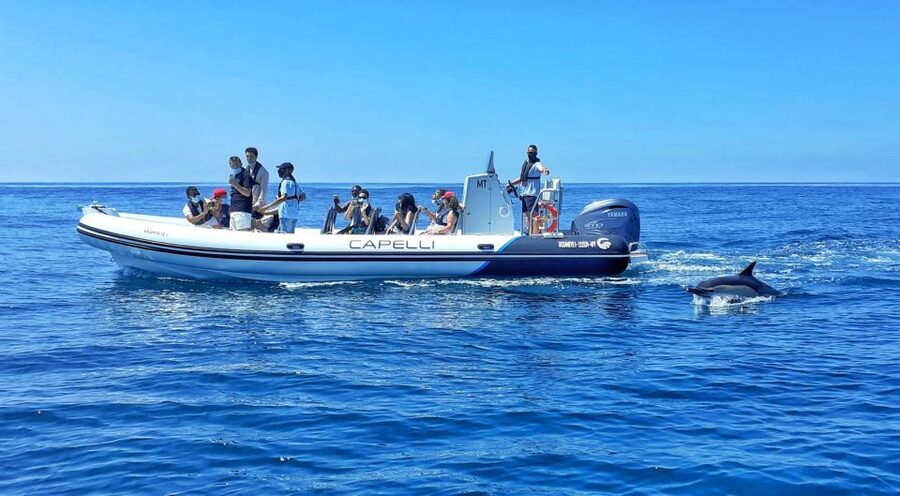 Albufeira: Benagil Cave and Dolphin Sightseeing Boat Cruise - Heading west past six Algarve beaches