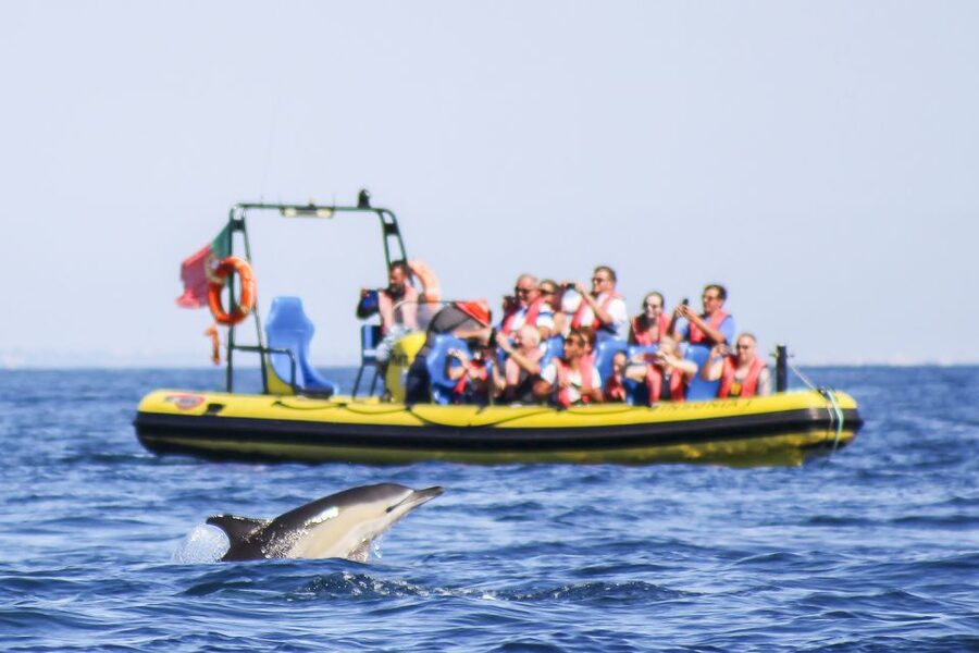 Albufeira: Benagil Caves & Dolphin Watching Speed Boat Tour - Why this Albufeira boat trip is worth considering