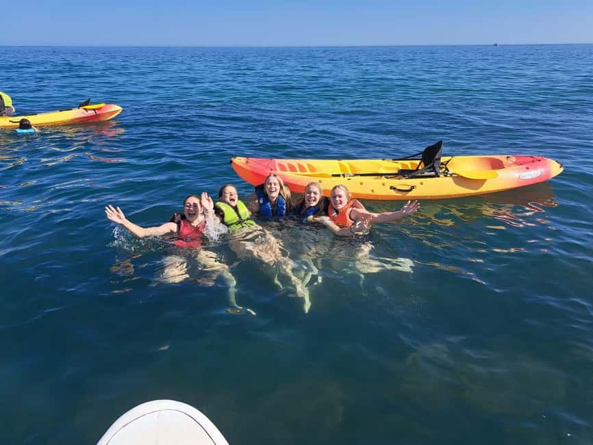Albufeira: Caves and Cliffs Kayaking Tour - Passing Praia do Ninho das Andorinhas and Praia dos Arrifes