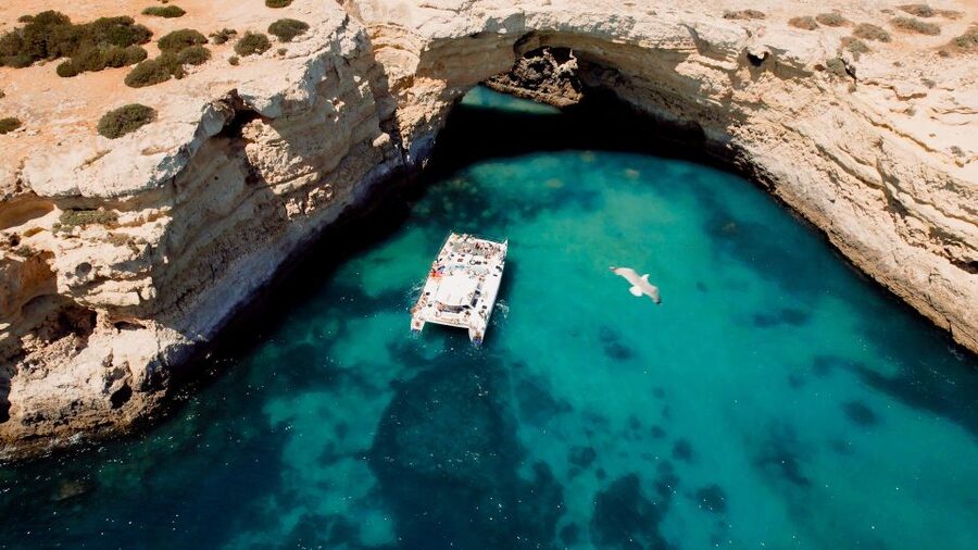 Albufeira: Caves and Coastline Catamaran Cruise to Benagil - Who will enjoy this catamaran most