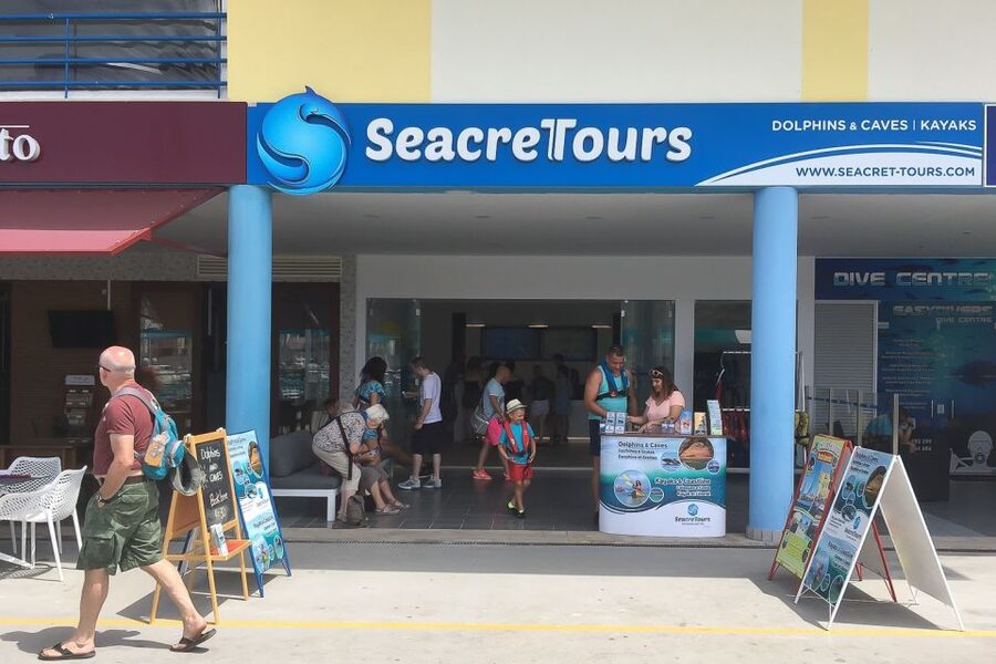 Albufeira: Dolphin Watching and Benagil Cave Boat Cruise - Albufeira Marina is an easy starting point