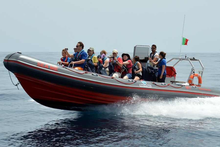 Albufeira: Dolphin Watching and Benagil Cave Boat Cruise - The Algarve cliffs and caves take center stage