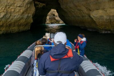 Dolphins, Benagil Caves and Coastline Boat Tour