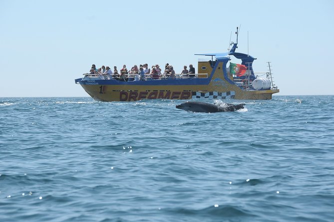 Albufeira Dreamer Boat Trip - Who should book this Albufeira boat trip?