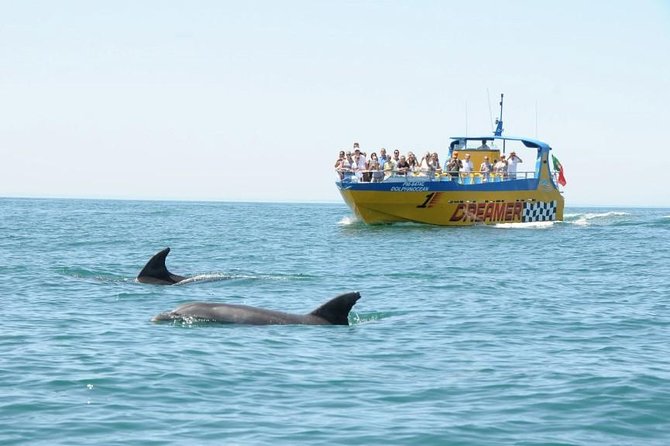 Albufeira Dreamer Boat Trip - Along the cliffs near Praia de São Rafael