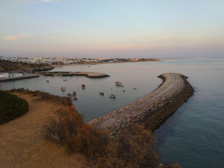 Albufeira: Guided Tour by Tuk-Tuk - The marina and fishing dock