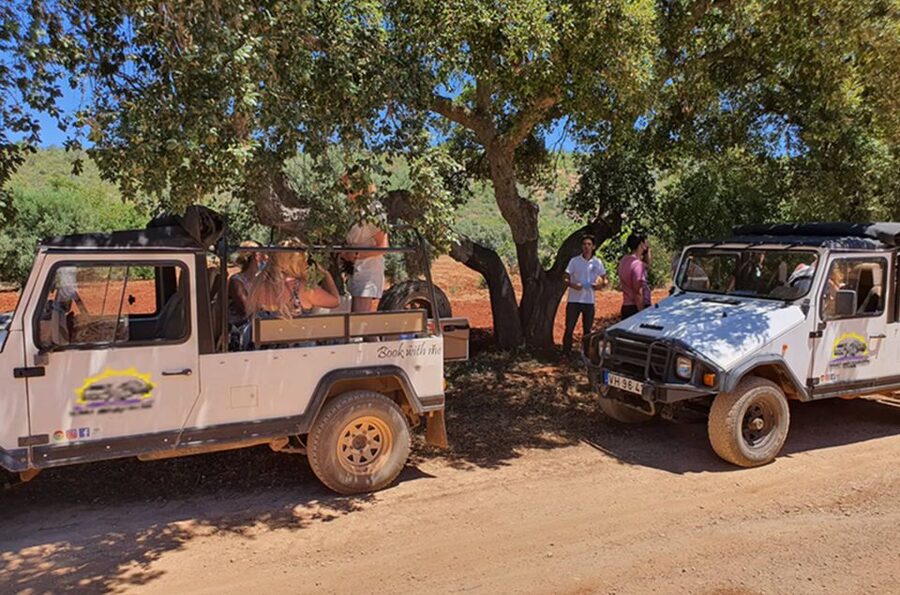 Albufeira: Safari Excursion in the Algarve Mountains - Pico Alto viewpoint and the final ride home