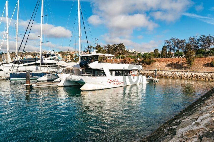Albufeira: Sightseeing Cruise with Beach BBQ and Open Bar - Is $63 Good Value In The Algarve?