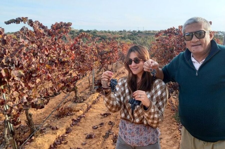Albufeira/Vilamoura: Winery Tour with Wine Tasting and Tapas - Seeing Albufeira before the wine