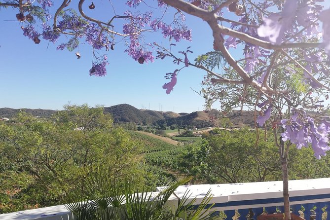 Albufeira Wine Tasting: Boutique Winery Tour & Historic Silves - How much time do you get?