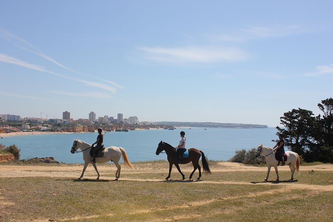 Algarve - Exclusive horseriding in Portimao (no experience required) - Key Points At a Glance