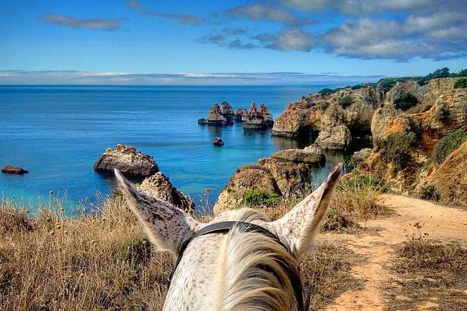 Algarve - Exclusive horseriding in Portimao (no experience required) - Meeting the Horses in Alvor