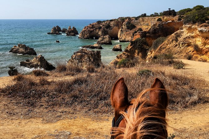 Algarve - Exclusive horseriding in Portimao (no experience required) - Why the Small Group Makes a Difference