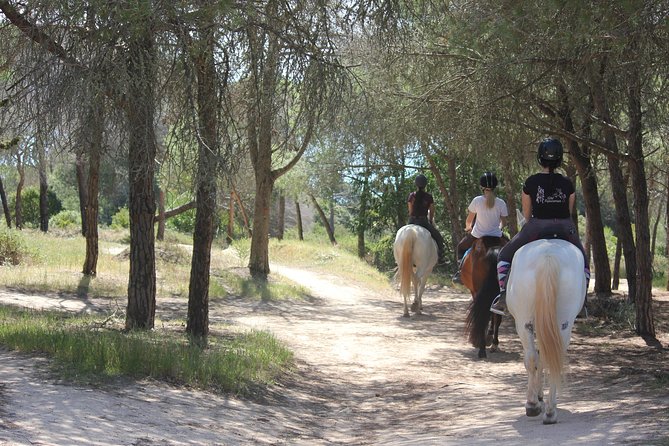 Algarve - Exclusive horseriding in Portimao (no experience required) - The Briefing Before You Ride