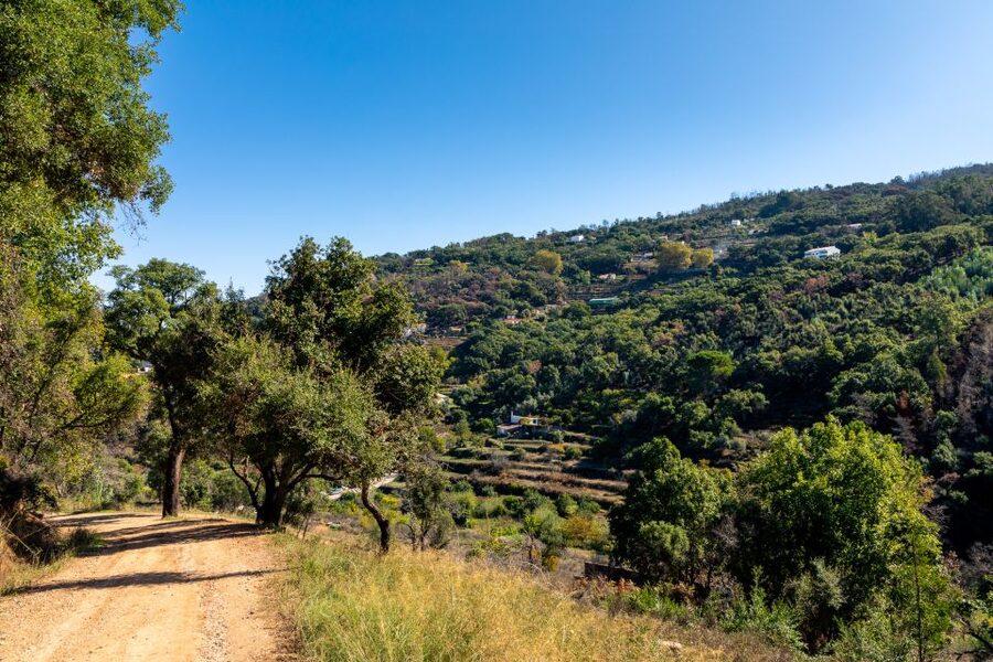 Algarve: Jeep Safari with Distillery Visit & Lunch - Lunch at a traditional restaurant