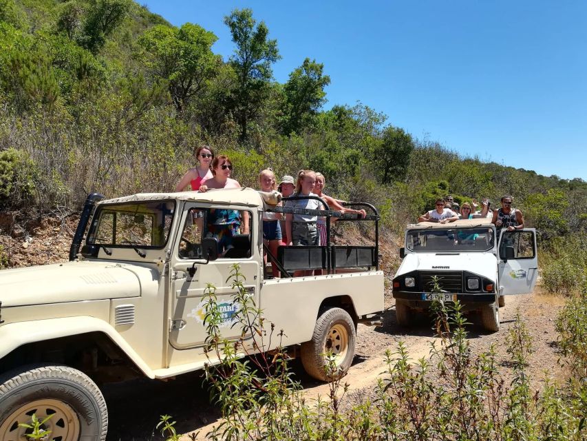 Algarve: Sunset Jeep Safari Tour - Cork oak trees, citrus leaves, and local produce