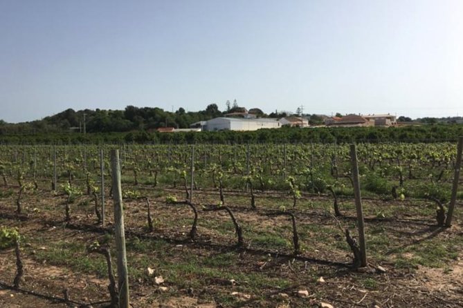 Algarve wine tour and mountain top trip with lunch or dinner at sunset time - Why this Algarve day trip works so well