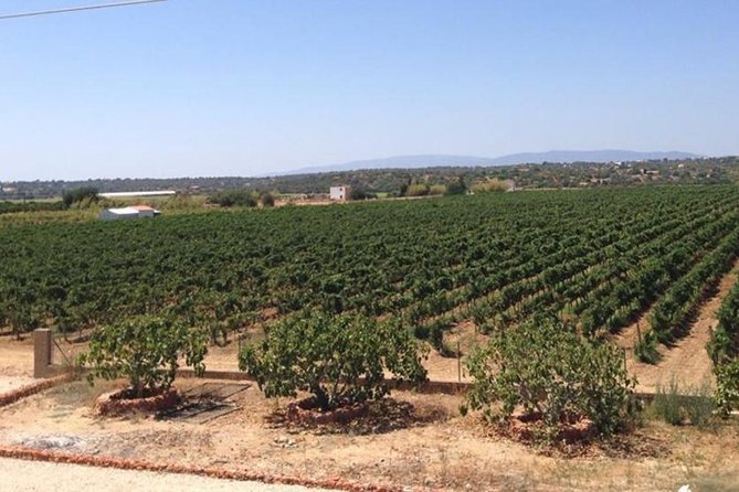 Algarve wine tour and mountain top trip with lunch or dinner at sunset time - The guide makes the difference