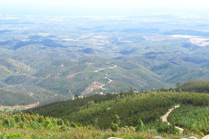 Algarve wine tour and mountain top trip with lunch or dinner at sunset time - Villa Alvor: family wine on the edge of Portimão