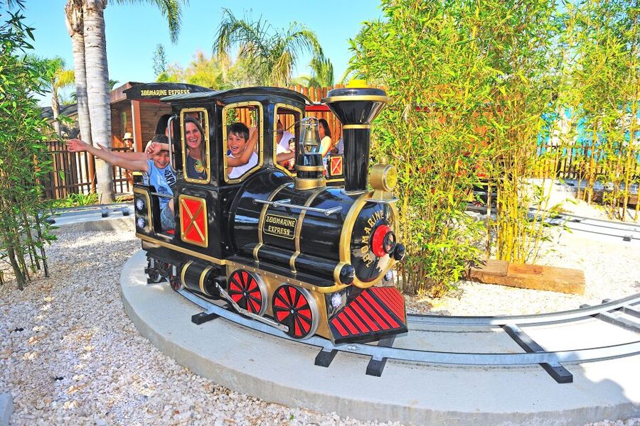 Algarve: Zoomarine Amusement Park Entry Ticket - What kind of day is Zoomarine Algarve?