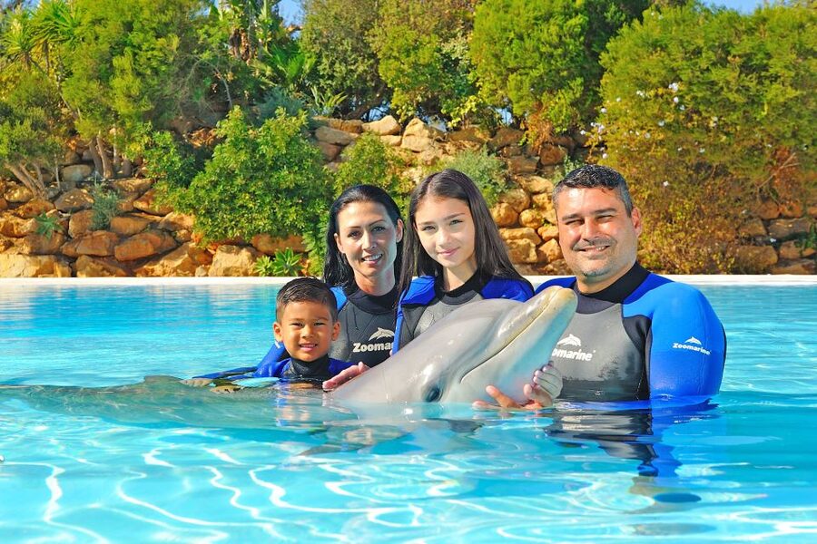 Algarve Zoomarine Ticket and Dolphin Emotions Experience - Key points at a glance