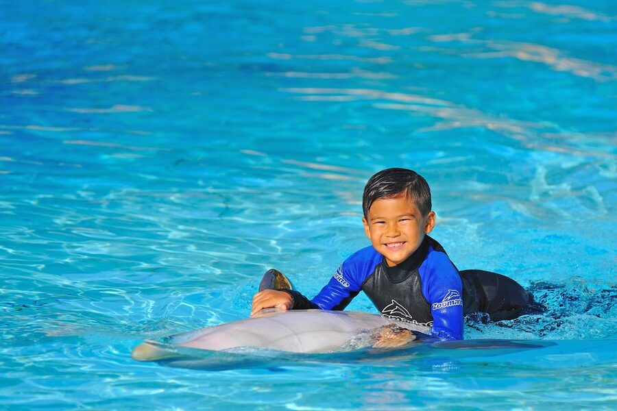 Algarve Zoomarine Ticket and Dolphin Emotions Experience - My honest value judgment at $142
