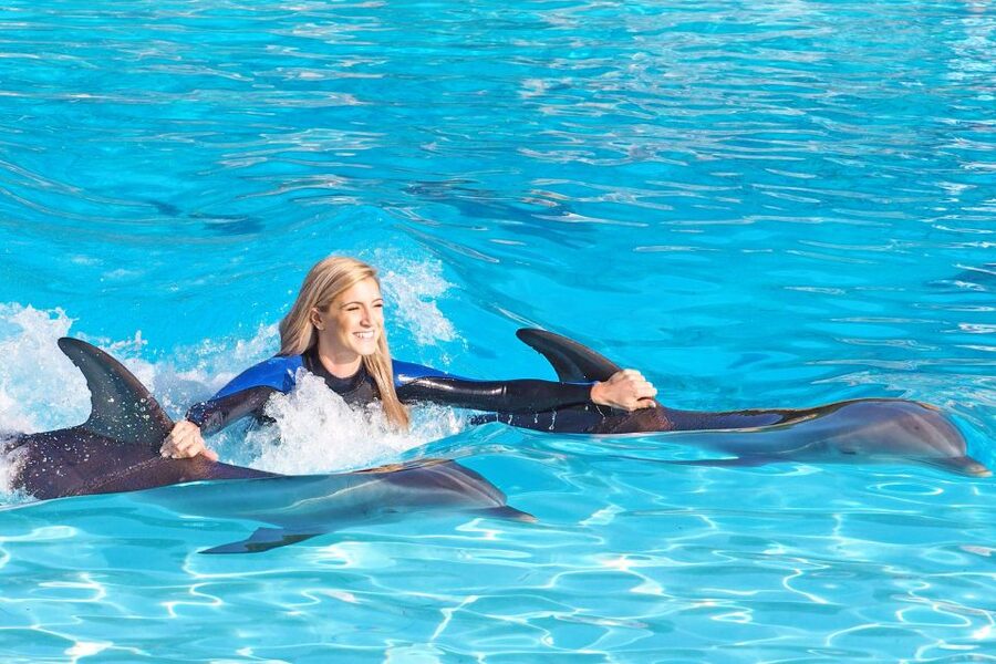Algarve Zoomarine Ticket and Dolphin Emotions Experience - What happens before you meet the dolphins