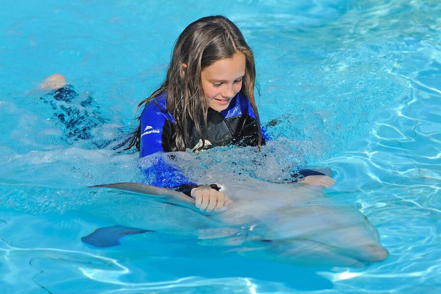 Algarve Zoomarine Ticket and Dolphin Emotions Experience - Encounter or Exclusive: choosing the right package