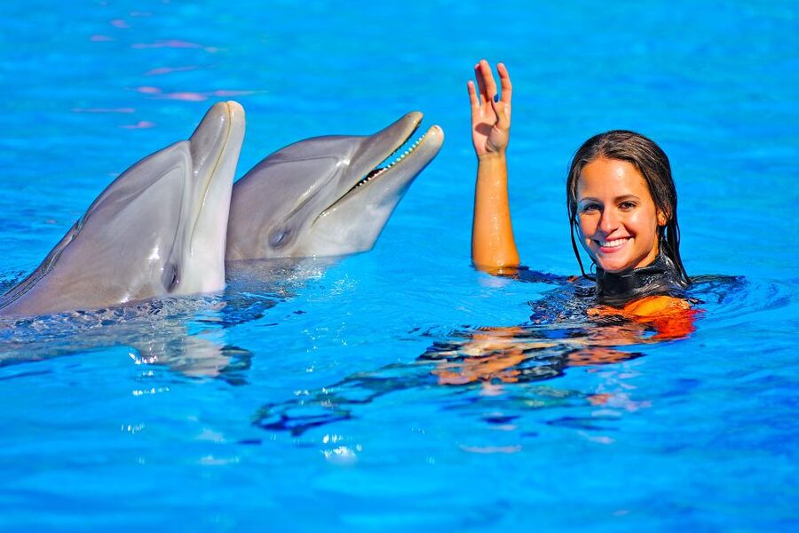 Algarve Zoomarine Ticket and Dolphin Emotions Experience - How much time do you really get?