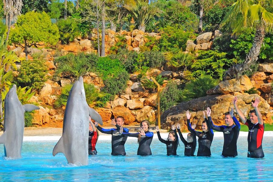 Algarve Zoomarine Ticket and Dolphin Emotions Experience - Why the trainers make a difference