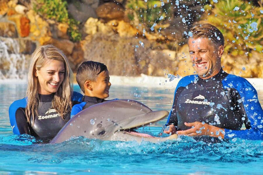 Algarve Zoomarine Ticket and Dolphin Emotions Experience - Photos, videos, and practical extras