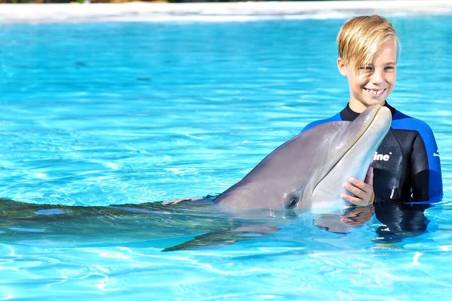 Algarve Zoomarine Ticket and Dolphin Emotions Experience - Who should skip this activity